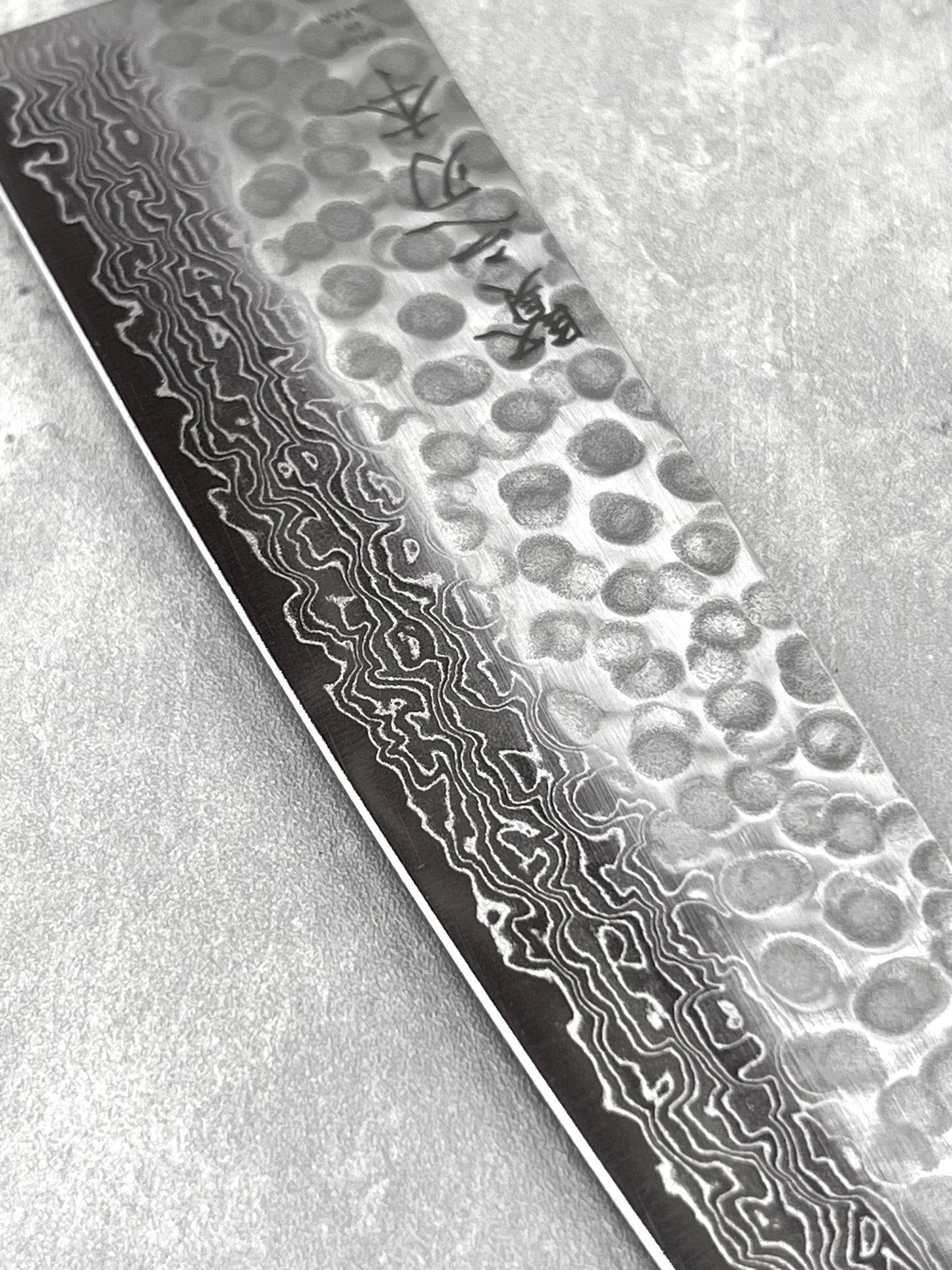 45 Layered VG10 Damascus Gyuto 210mm