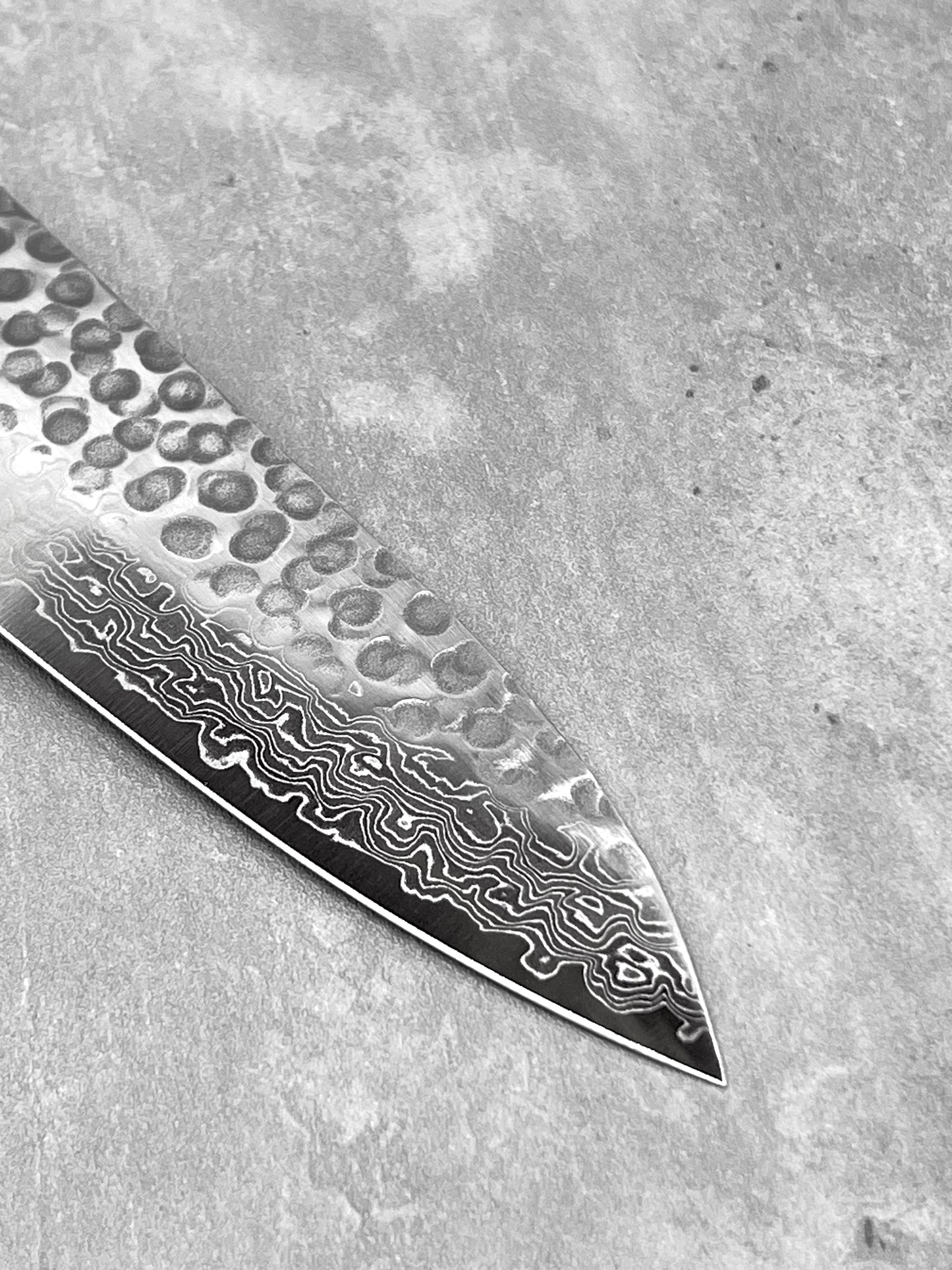 45 Layered VG10 Damascus Gyuto 210mm