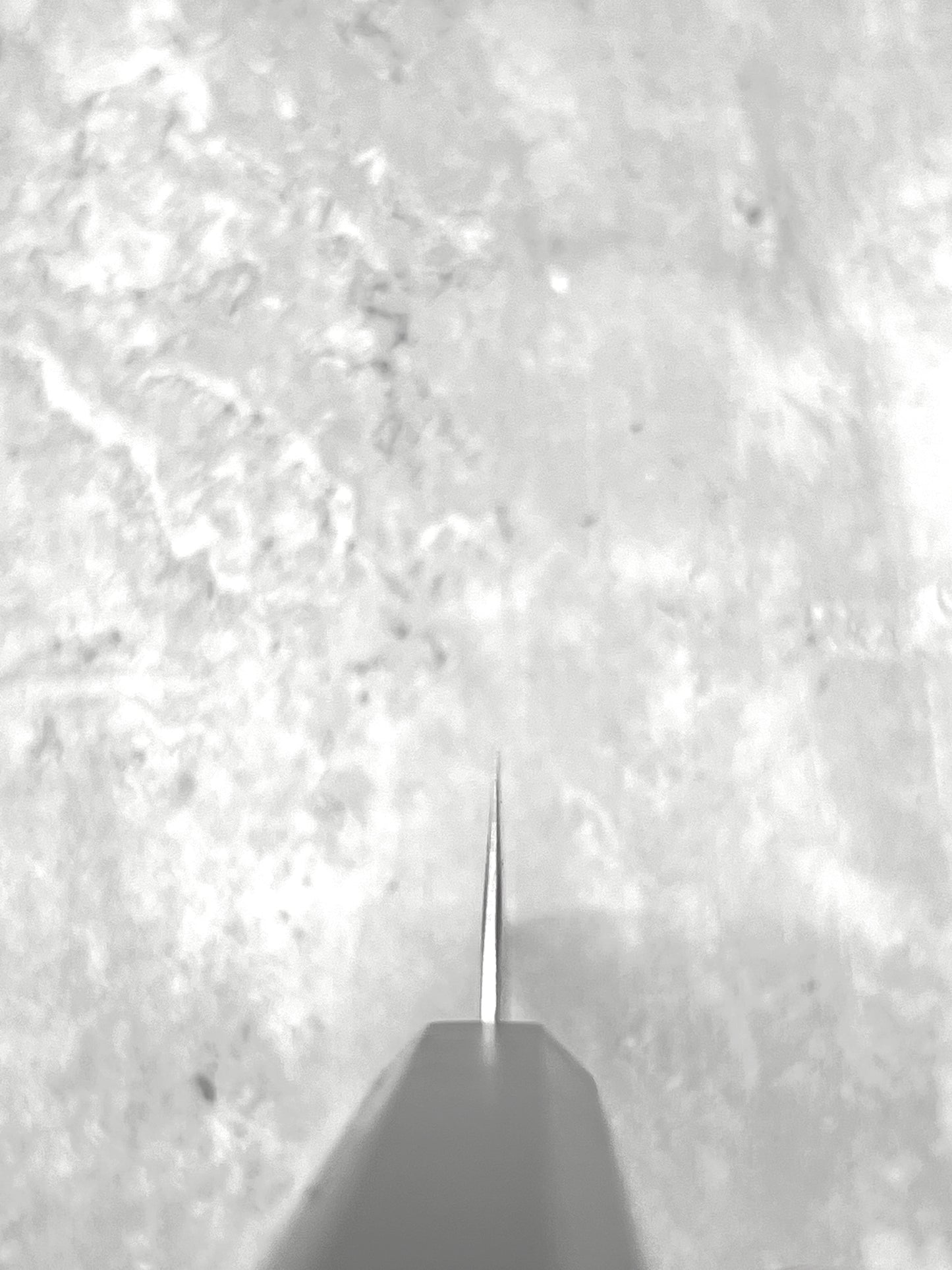 masaru knives Malaysia aus8 gyuto 195mm stainless steel new ebony chef knife Japan chef kitchen nashji