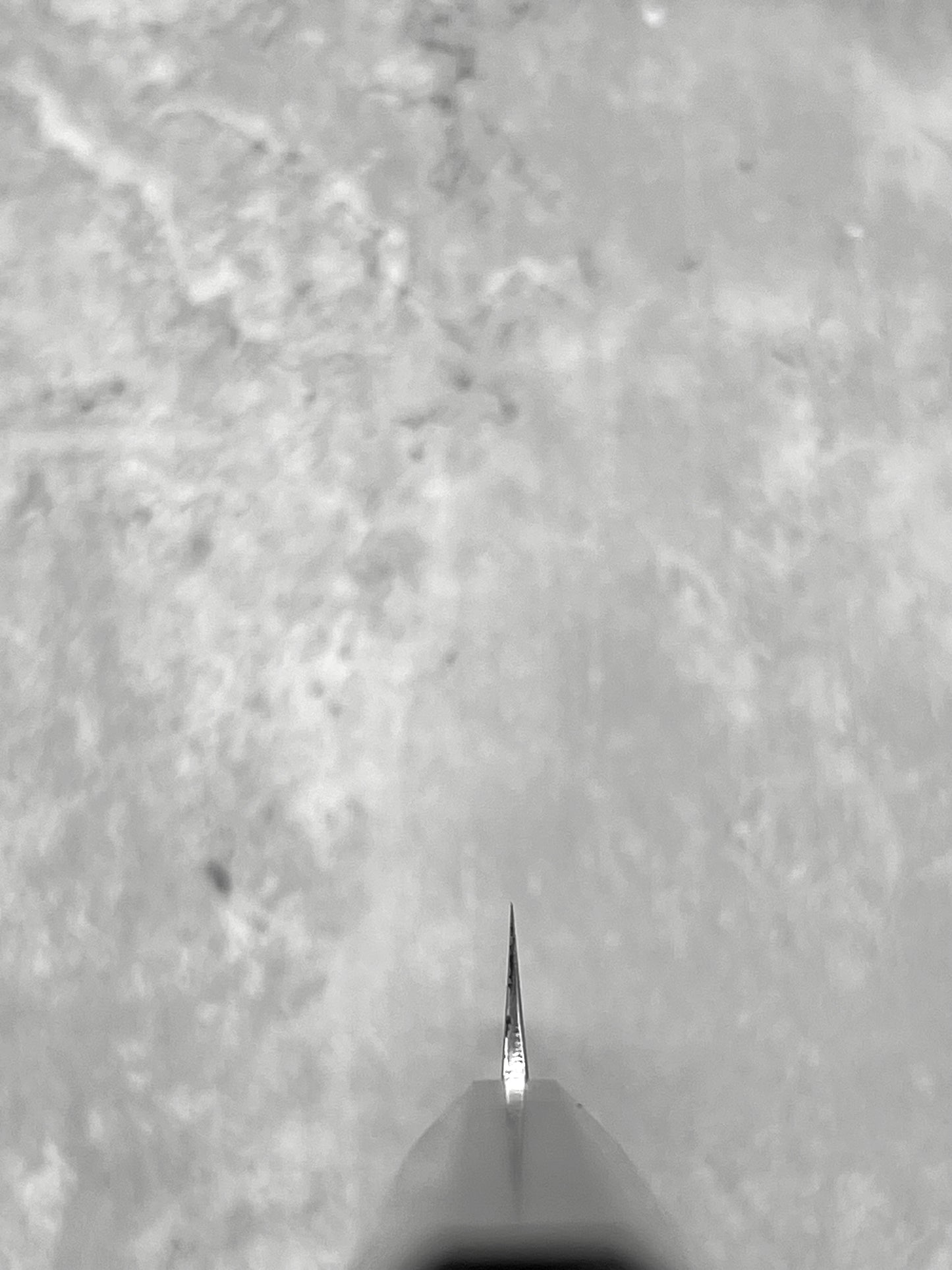 hatsukokoro Nakagawa 150mm petty ebony masaru knives Malaysia ginsan 3 stainless steel sakai Japan japanese knife