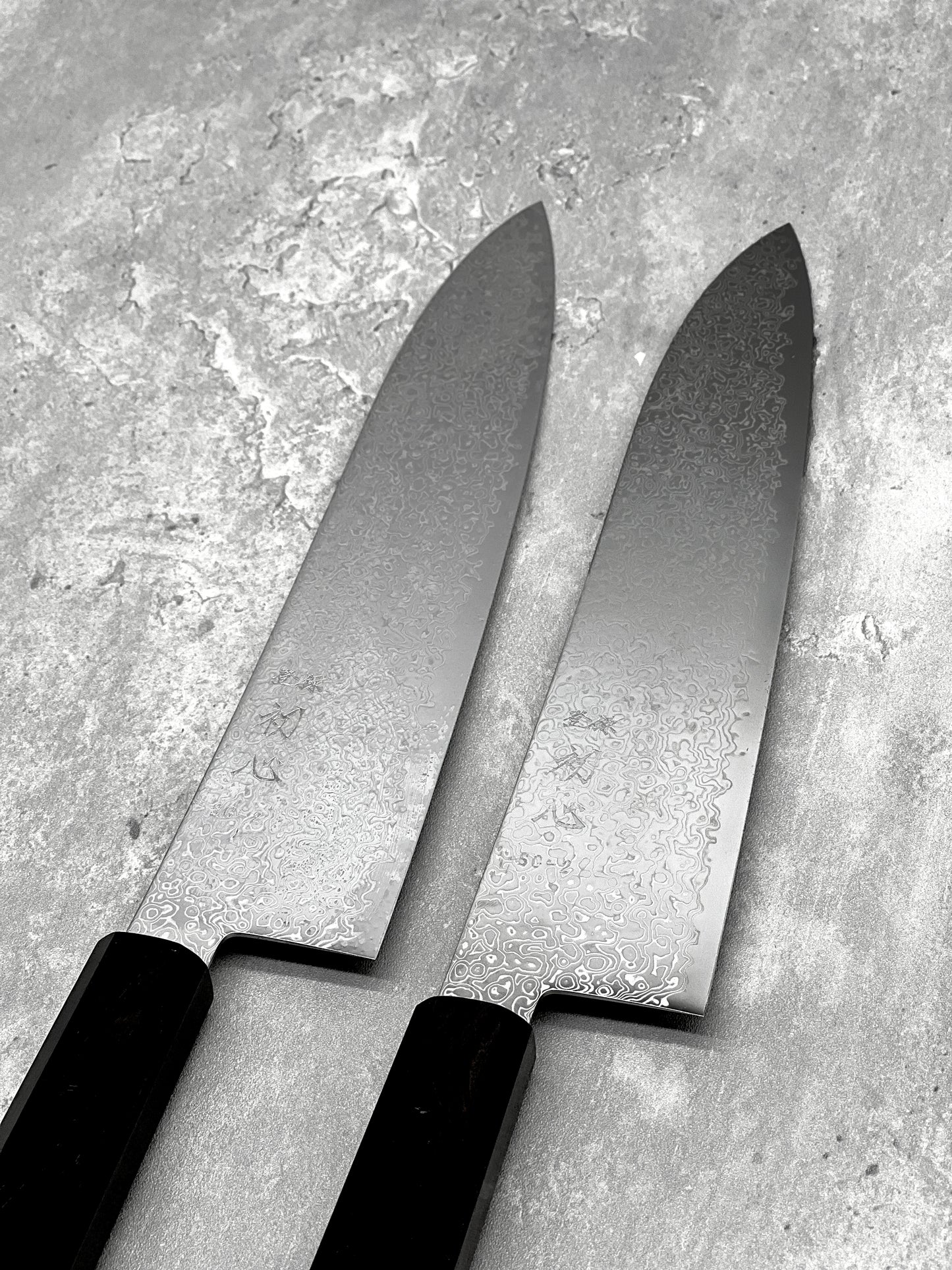 Hatsukokoro Saihyo sg2 210mm gyuto stainless steel ebony Damascus japanese knives Malaysia Japan masaru