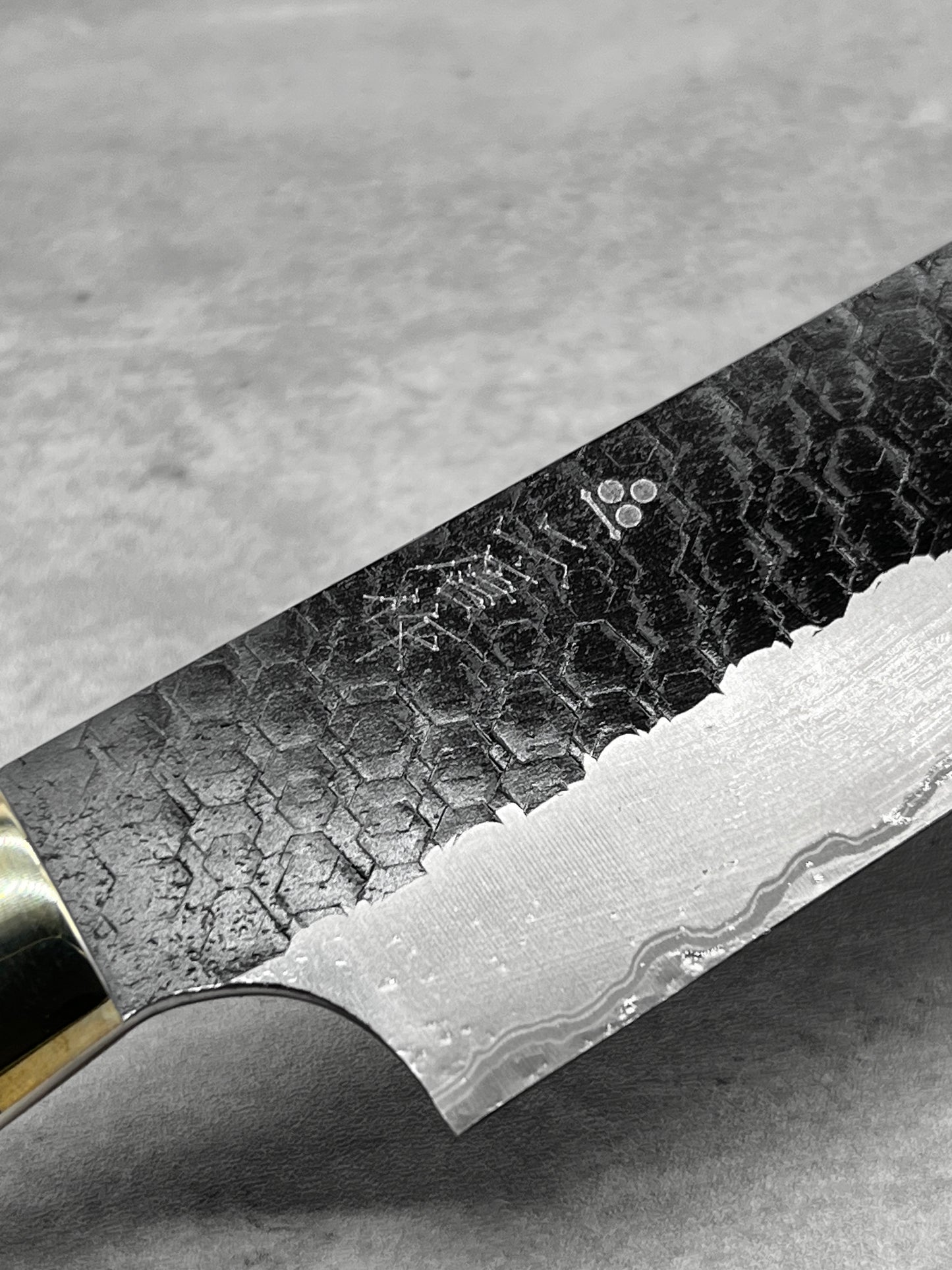 Limited Series -  Nigara Sg2 Kurouchi Black Series 255mm Sujihiki