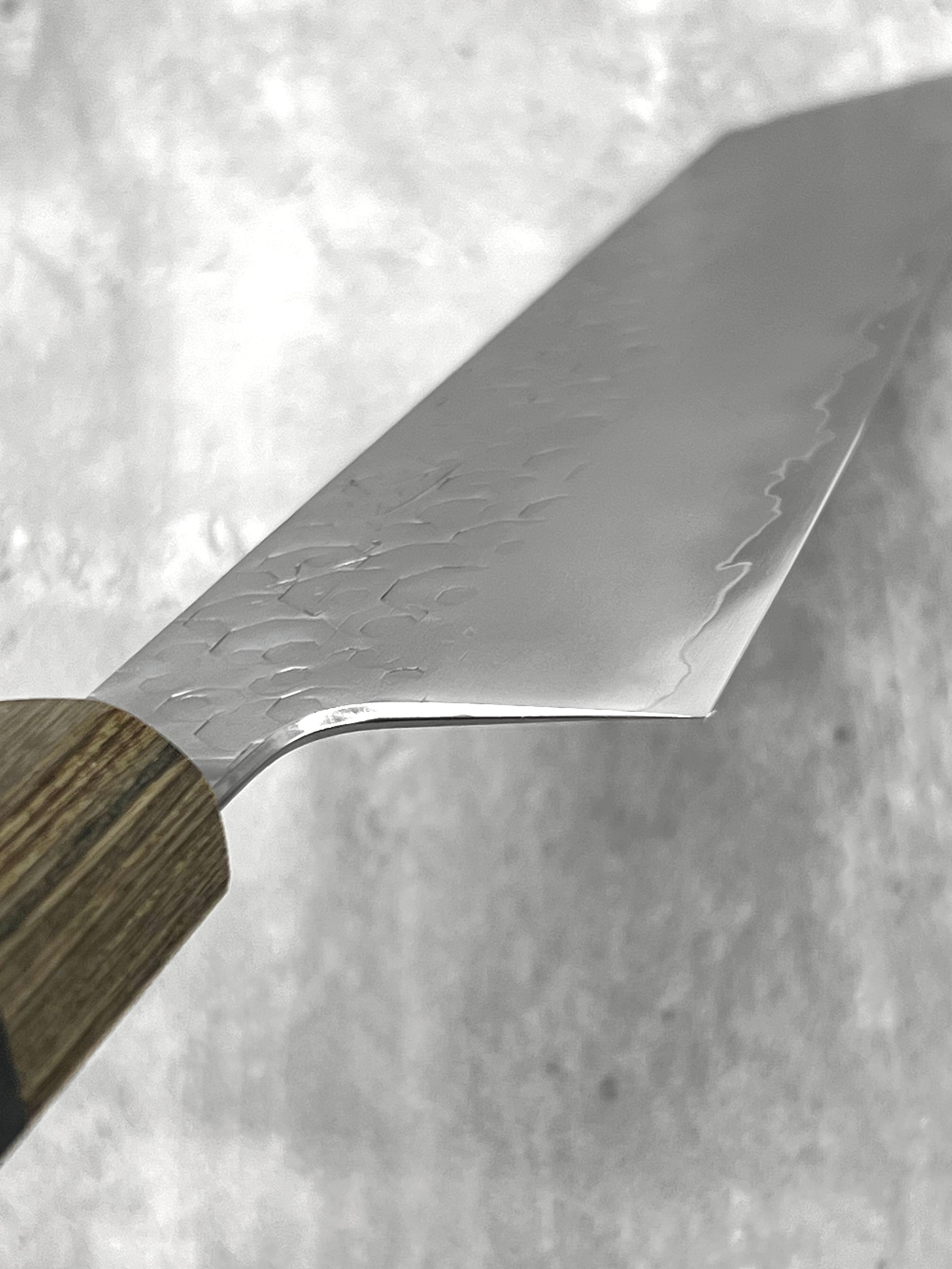 hado Sakai masaru knives Malaysia sg2 kiritsuke gyuto black stainless steel Japan chef knife multipurpose handmade