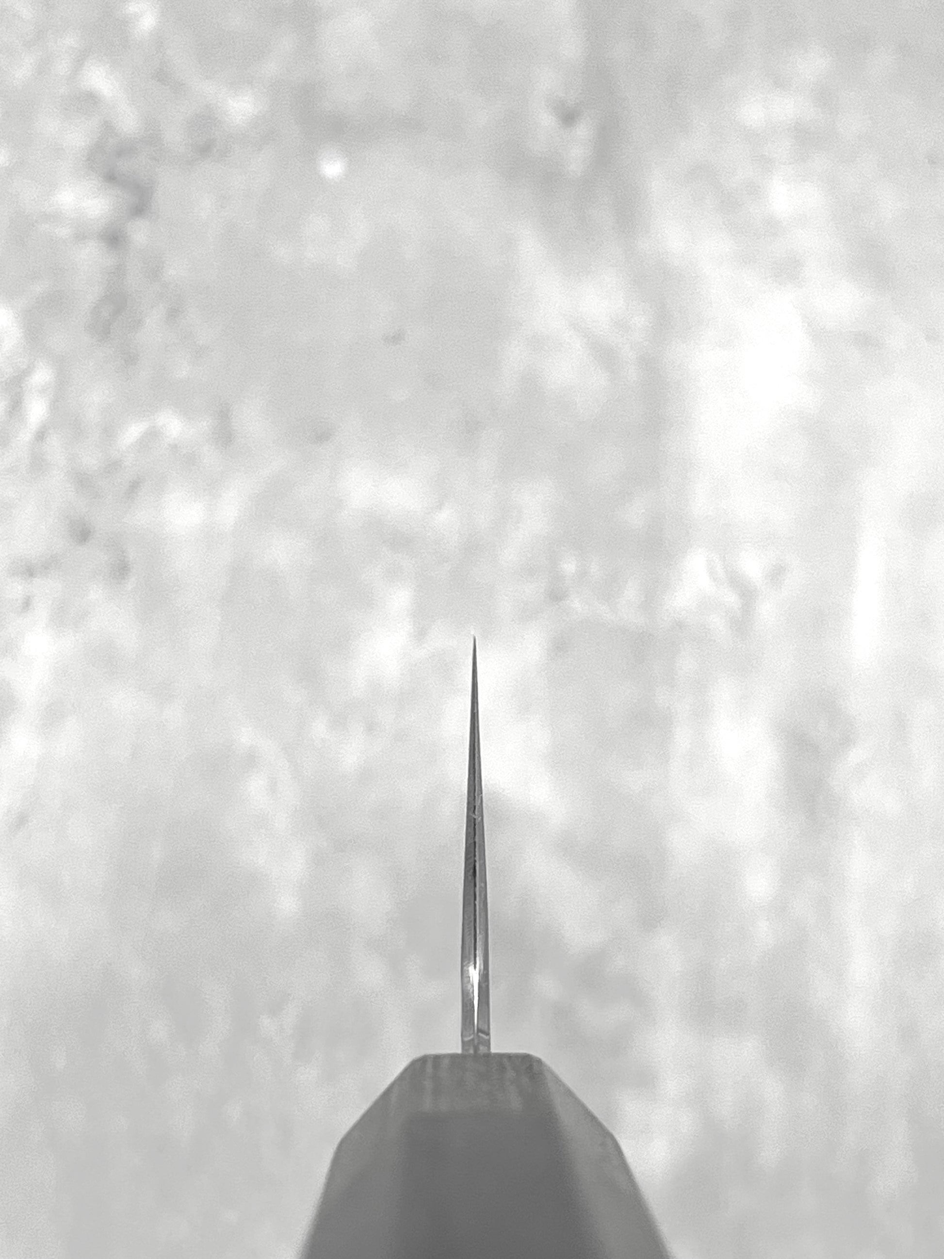 hado Sakai masaru knives Malaysia sg2 kiritsuke gyuto black stainless steel Japan chef knife multipurpose handmade