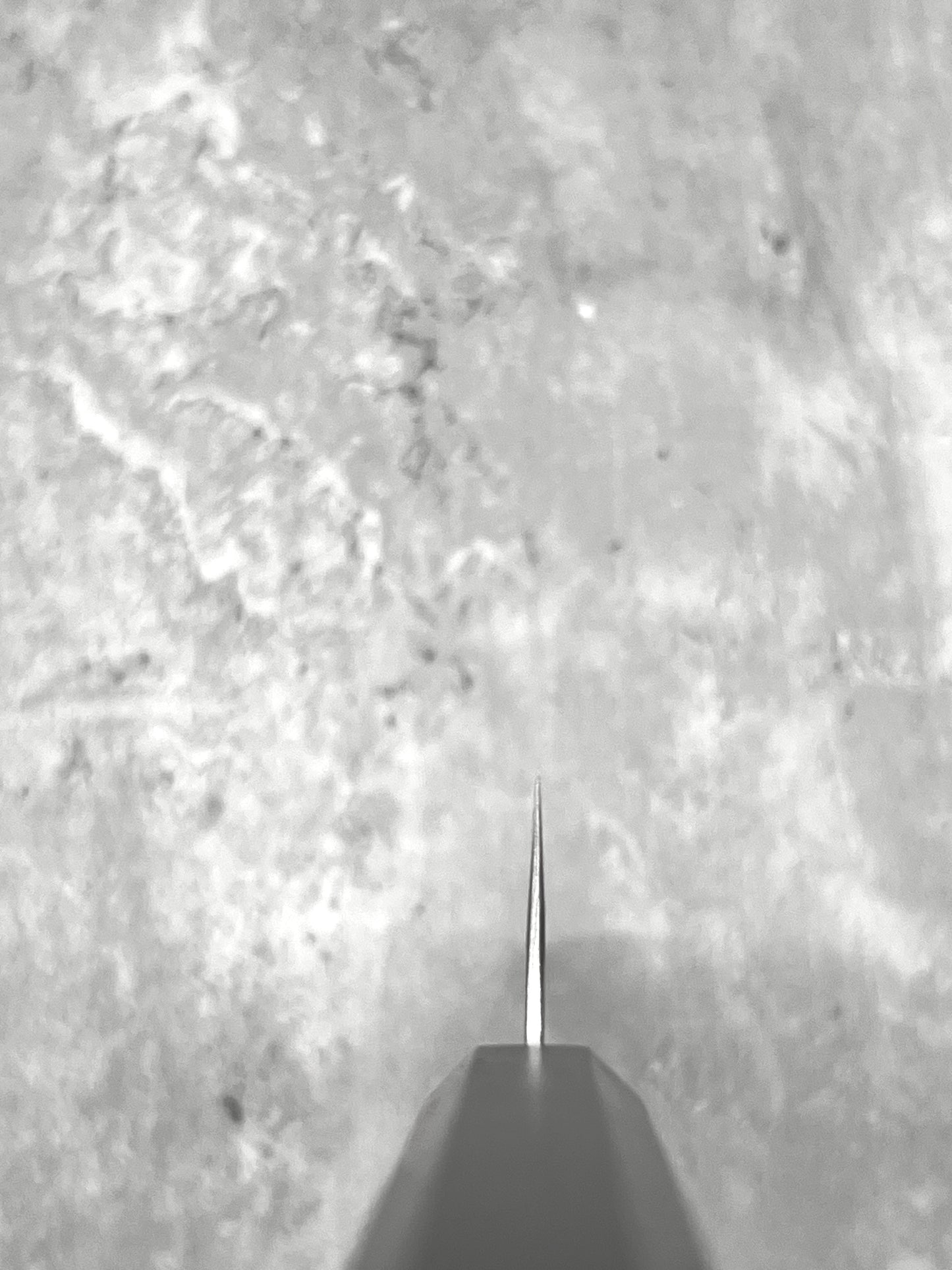 B1F1 - 5th Year Anniversary Iron Flower Nashiji AUS8 Series