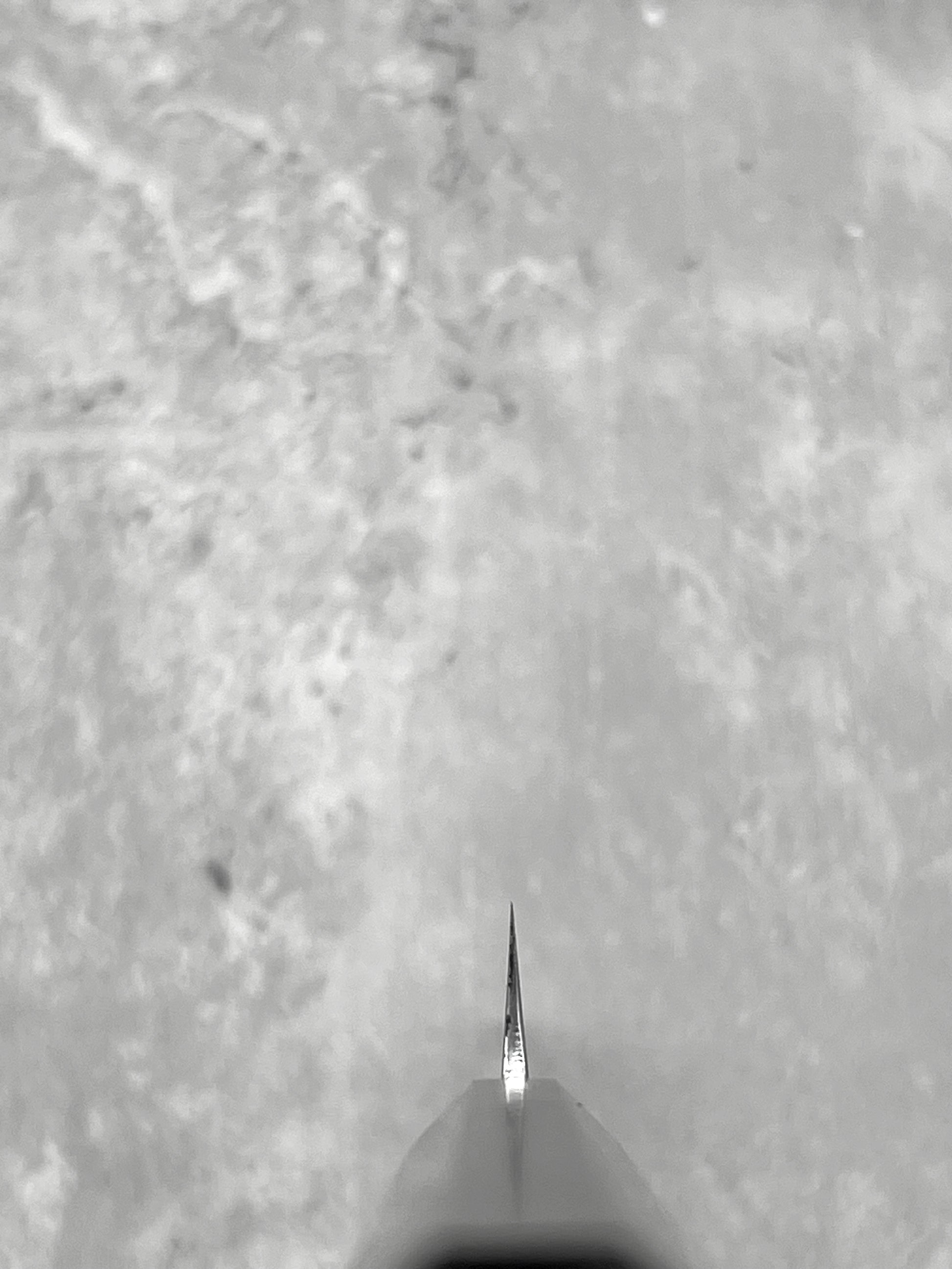 hatsukokoro Nakagawa 150mm petty ebony masaru knives Malaysia ginsan 3 stainless steel sakai Japan japanese knife