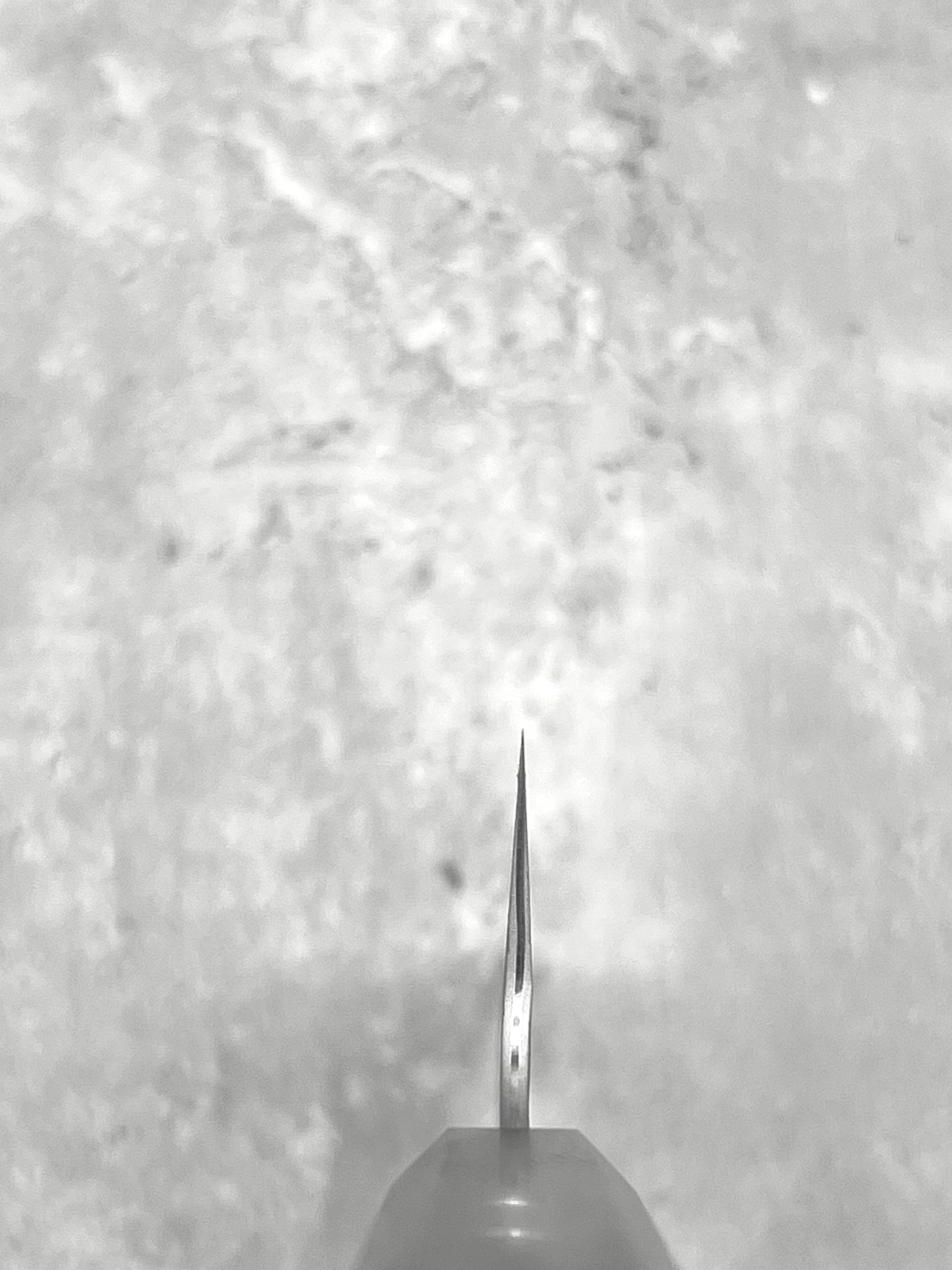 nigara hamono masaru knives Malaysia chef knife Japan aogami super carbon steel samurai kiritsuke gyuto 210mm