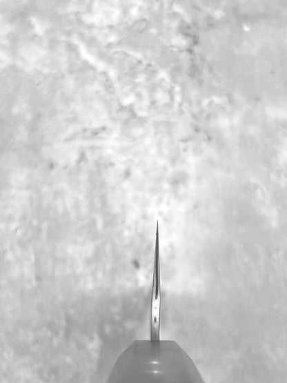 nigara hamono masaru knives Malaysia chef knife Japan aogami super carbon steel samurai kiritsuke gyuto 210mm