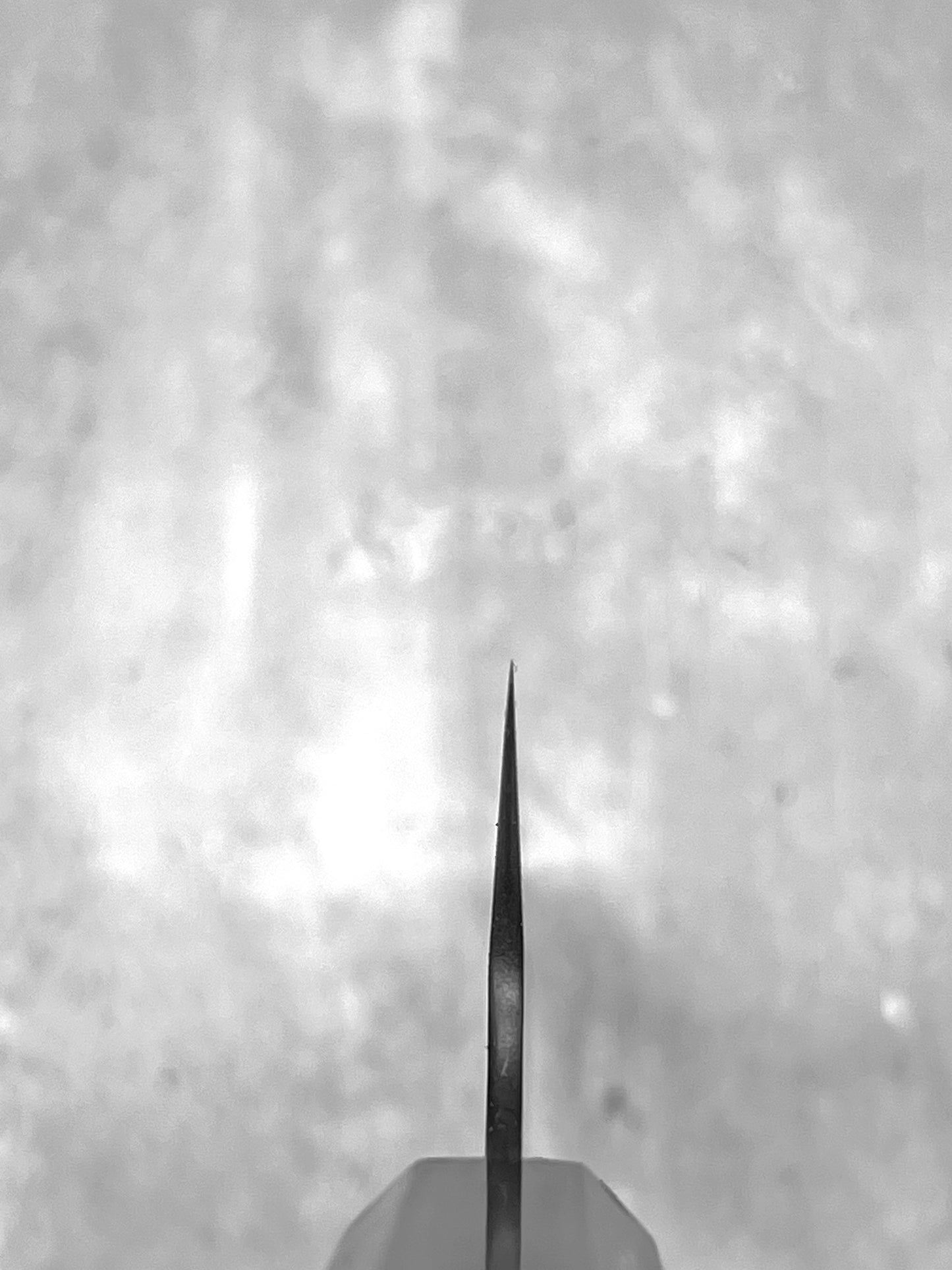 nigara 210mm kiritsuke gyuto multipurpose masaru knives Malaysia chef knife sg2 stainless steel japanese Japan ebony handmade 